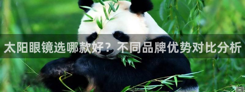 jdb电子 飞鸟派对