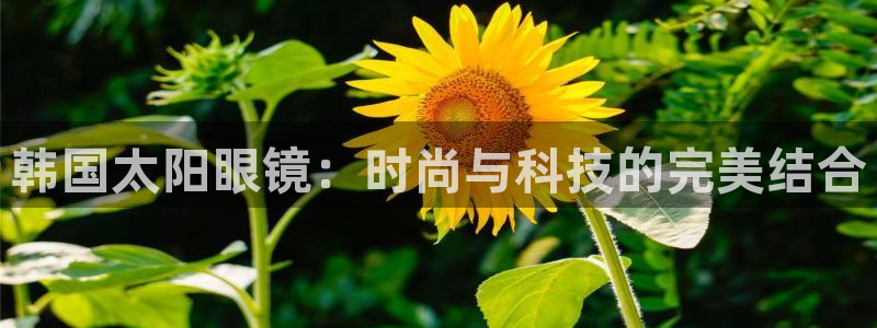 jdb大奖视频
