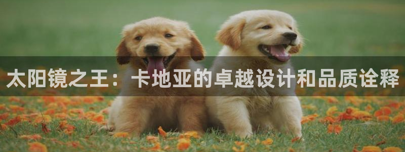 夺宝jdb网址