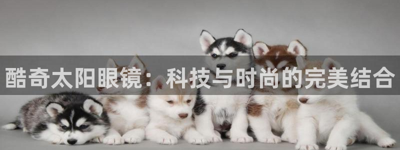 jdb使用