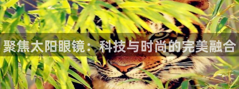 jdb电子金刚视频