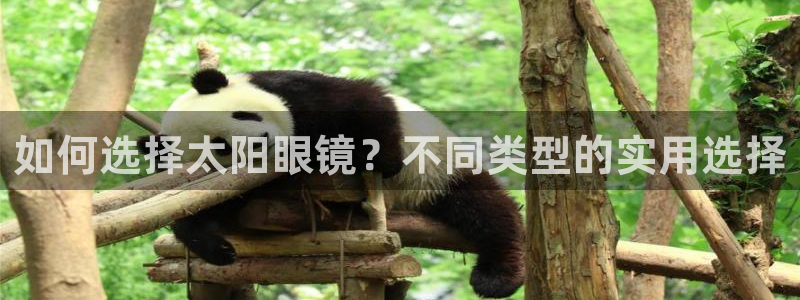 jdb电子免费游戏