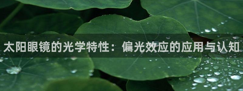 JDB电子游戏平台官网