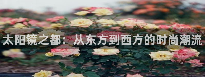 jdb电子游戏模拟器