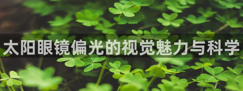 jdb平台是哪个公司
