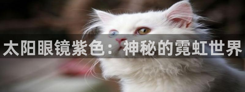 Jdb电子试玩