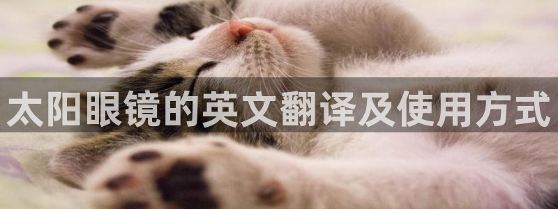 jdb电子可以操控的吗