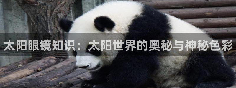 jdb台湾黑熊破解