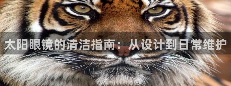 JDB电子安卓版客户端下载