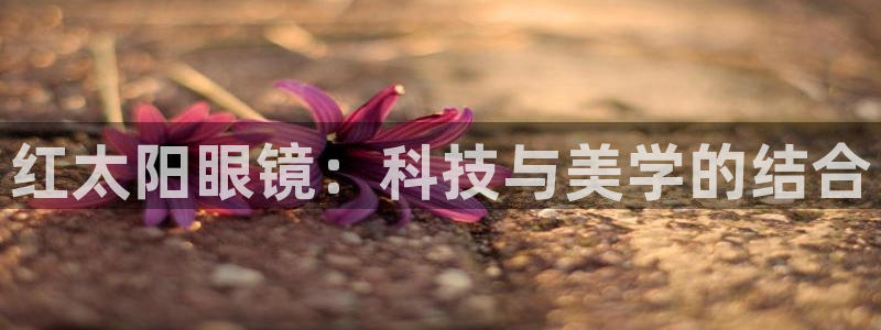 jdb游戏大全图片