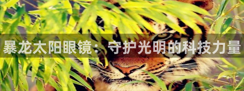 jdb的jp彩金游戏视频