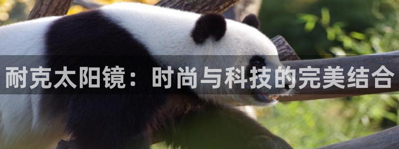 jdb电子游戏坑人套路