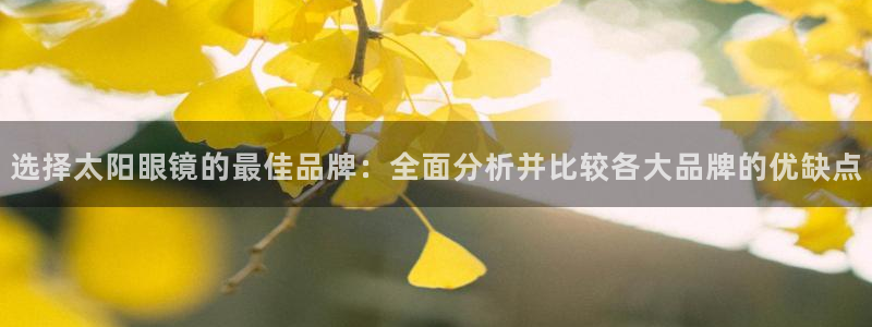 Jdb电子悟空