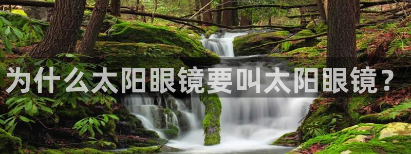 jdb电子飞鸟派对最火的一句