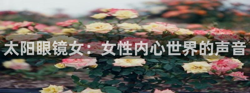 jdb电子输几十万