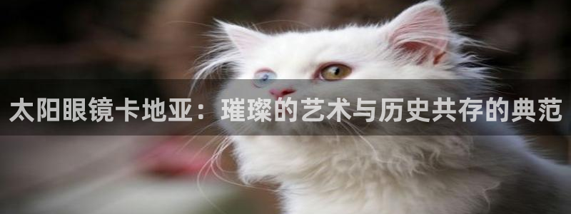 jdb电子游戏麻雀无双大奖视频