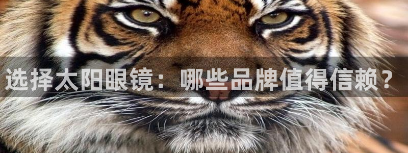 jdb五龙捕鱼网页试玩