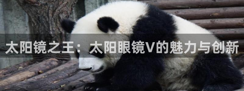 jdb电子试玩2000网站官网