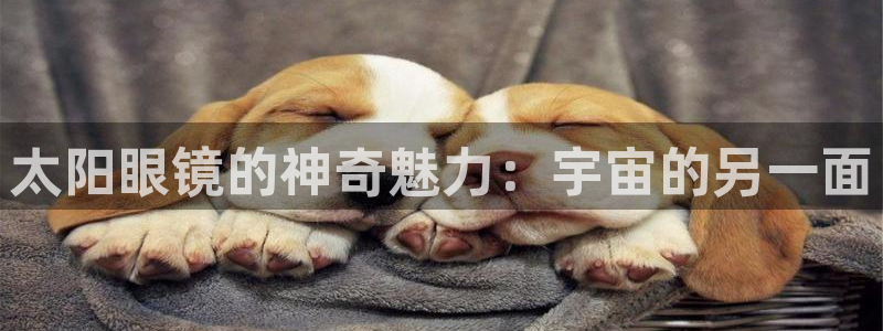 jdb电子平台入ly79,cn