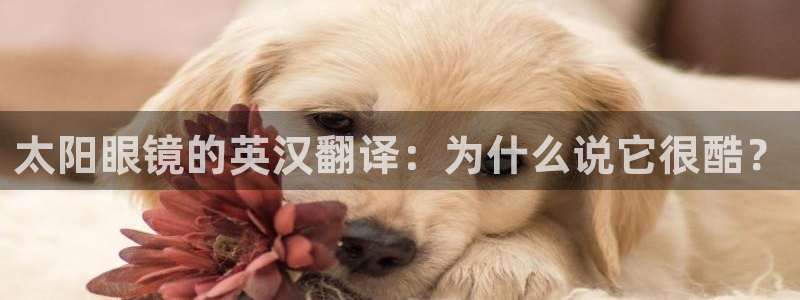 jdb电子糖果爆爆乐